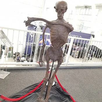 Fota z tetovacích soutěží