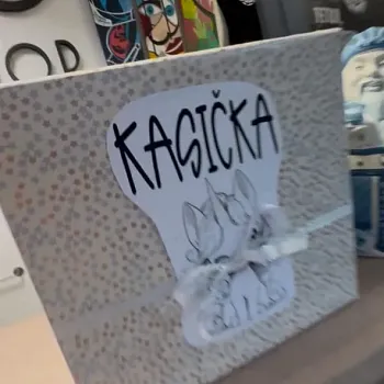 Charitativní akce 2025