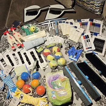 Charitativní akce pro zvířátka 2024