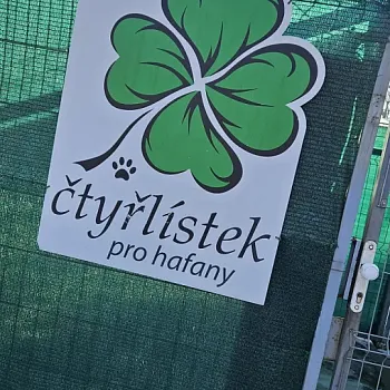 Charitativní akce pro zvířátka 2024