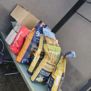 Charitativní akce pro zvířátka 2024