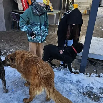 Charitativní akce pro zvířátka 2024