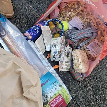 Charitativní akce pro zvířátka 2024