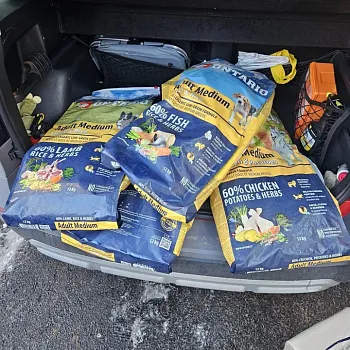 Charitativní akce pro zvířátka 2024