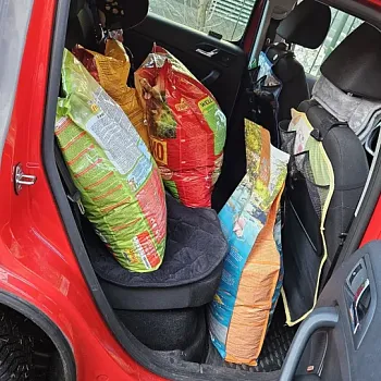 Charitativní akce pro zvířátka 2024