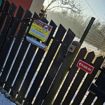 Charitativní akce pro zvířátka 2024