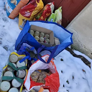 Charitativní akce pro zvířátka 2024