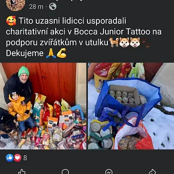 Charitativní akce pro zvířátka 2024